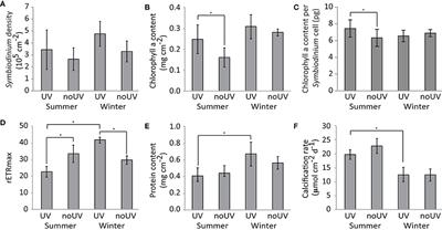 Ultra-Violet Radiation Has a Limited Impact on Seasonal Differences in the Acropora Muricata Holobiont